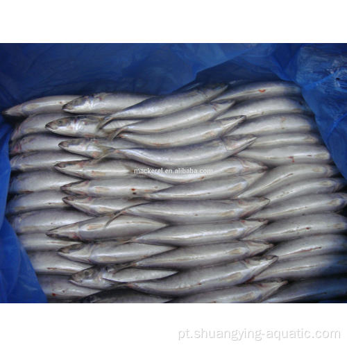 Seefrozen Pacific Whole Mackerel Fish 100-200G para a Indonésia